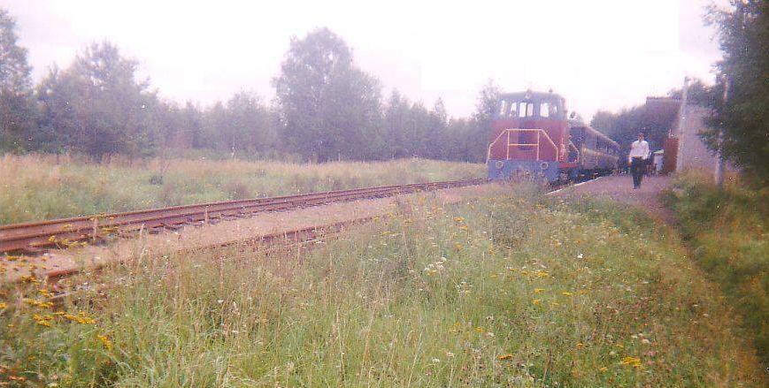 Ярославская (Малая Северная) детская железная дорога Ярославская (Малая Северная) детская железная дорога