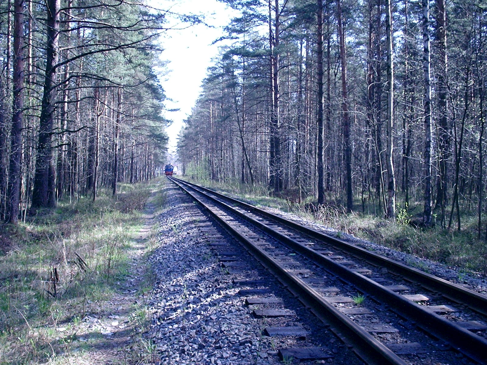 Малая Октябрьская детская железная дорога — фотографии, сделанные в 2005 году (часть 2) Малая Октябрьская детская железная дорога — фотографии, сделанные в 2005 году (часть 2)