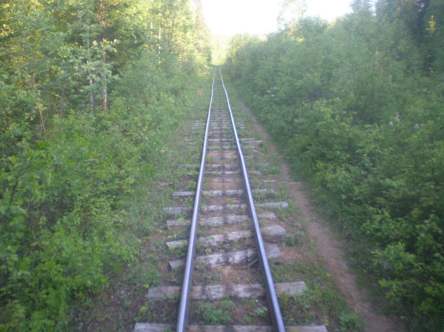 Ивакшанская узкоколейная железная дорога — фотографии, сделанные в 2009 году (часть 3) Ивакшанская узкоколейная железная дорога — фотографии, сделанные в 2009 году (часть 3)