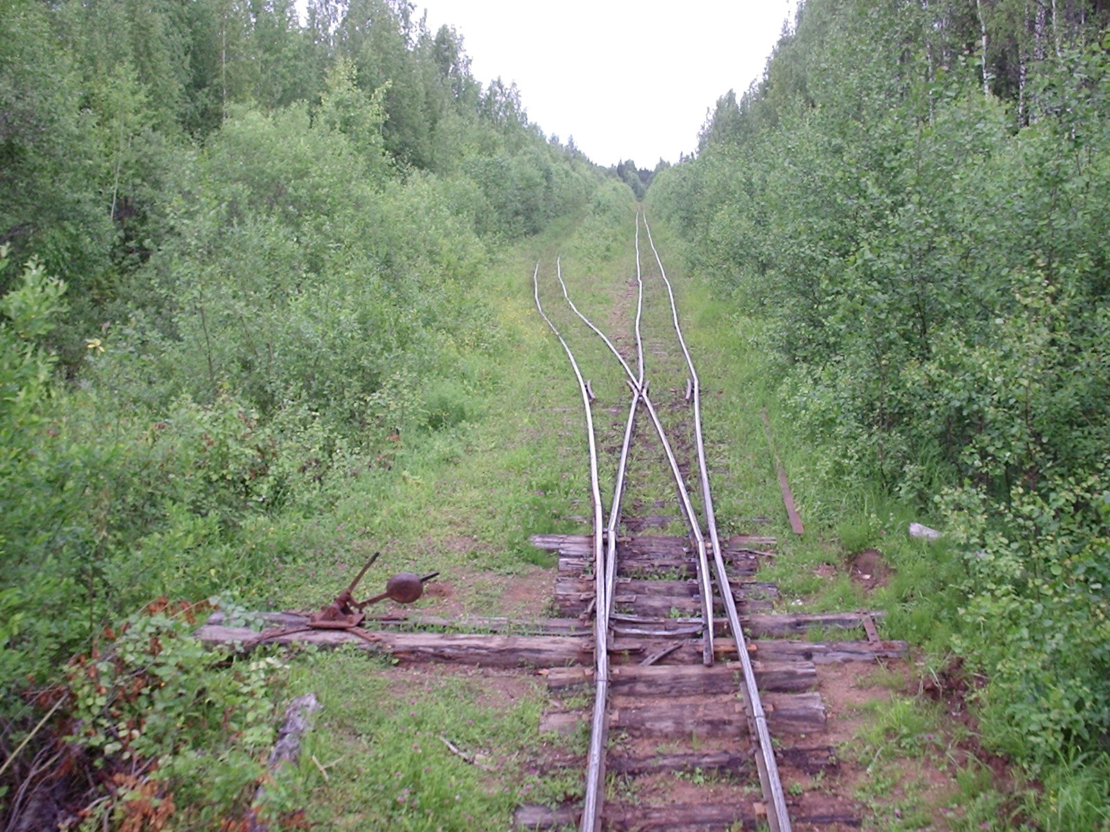 Куликовская узкоколейная железная дорога — фотографии, сделанные в 2005 году (часть 3) Куликовская узкоколейная железная дорога — фотографии, сделанные в 2005 году (часть 3)