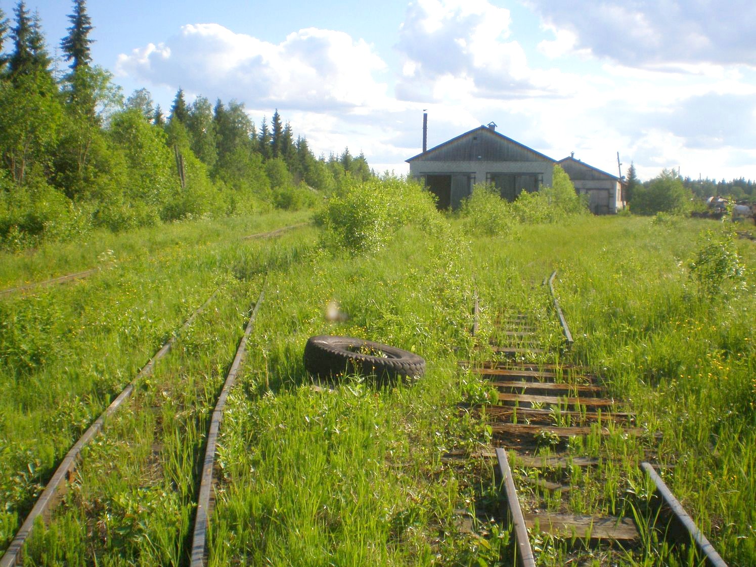 Лепшинская узкоколейная железная дорога — фотографии, сделанные в 2009 году (часть 4) Лепшинская узкоколейная железная дорога — фотографии, сделанные в 2009 году (часть 4)