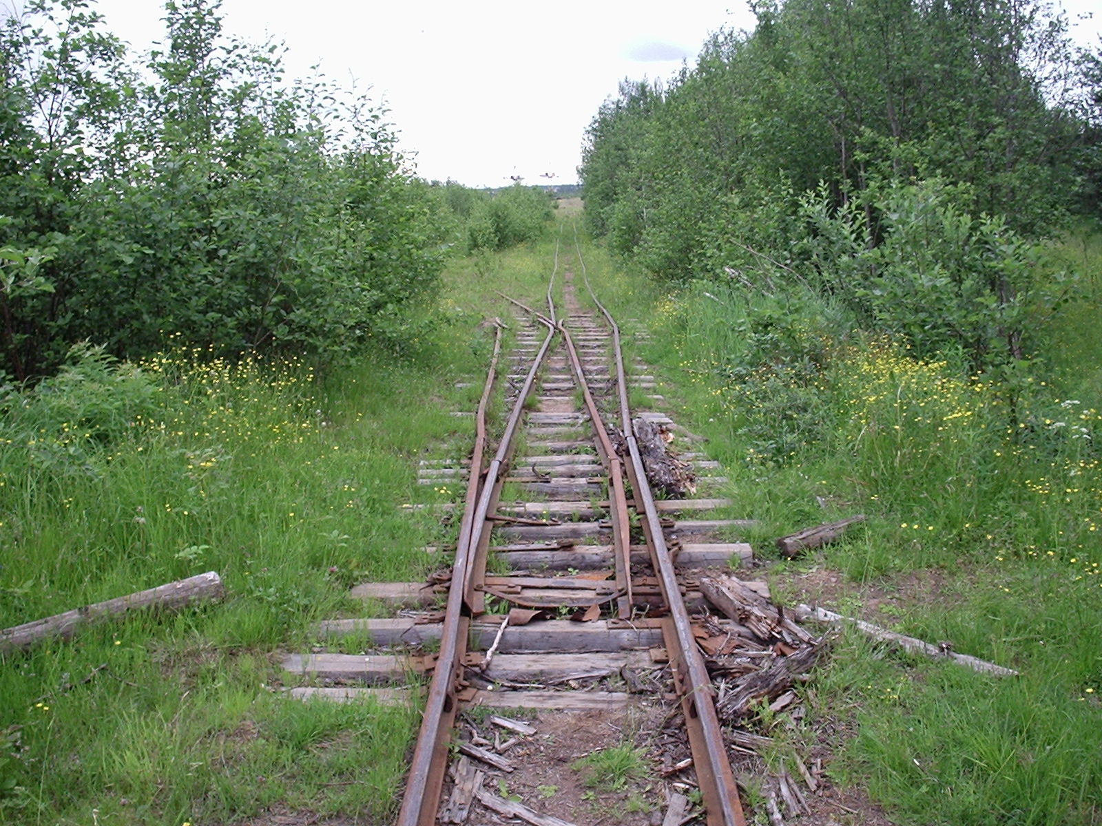 Малошуйская узкоколейная железная дорога - фотографии, сделанные в 2006 году (часть 2) Малошуйская узкоколейная железная дорога - фотографии, сделанные в 2006 году (часть 2)