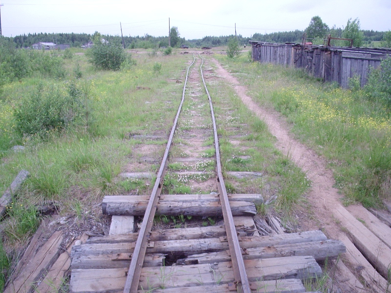 Малошуйская узкоколейная железная дорога - фотографии, сделанные в 2006 году (часть 4) Малошуйская узкоколейная железная дорога - фотографии, сделанные в 2006 году (часть 4)