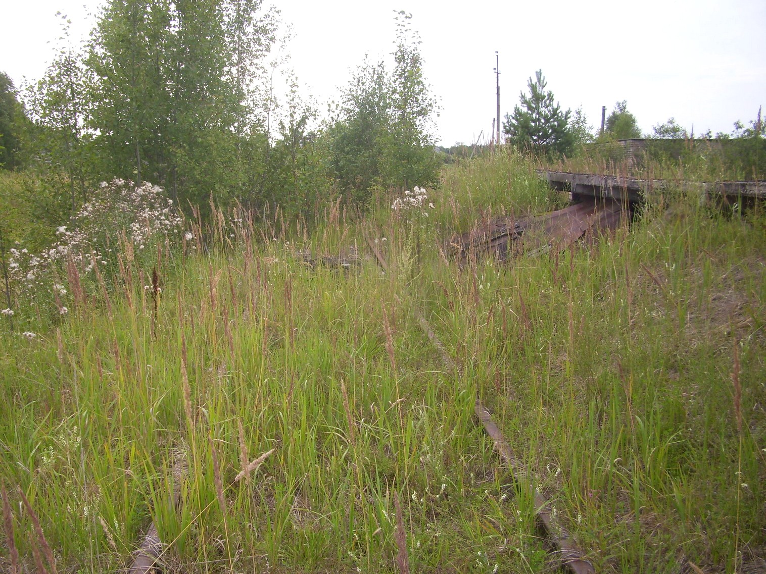 Шортюгская железная дорога
— фотографии, сделанные в 2012 году (часть 1) Шортюгская железная дорога
— фотографии, сделанные в 2012 году (часть 1)
