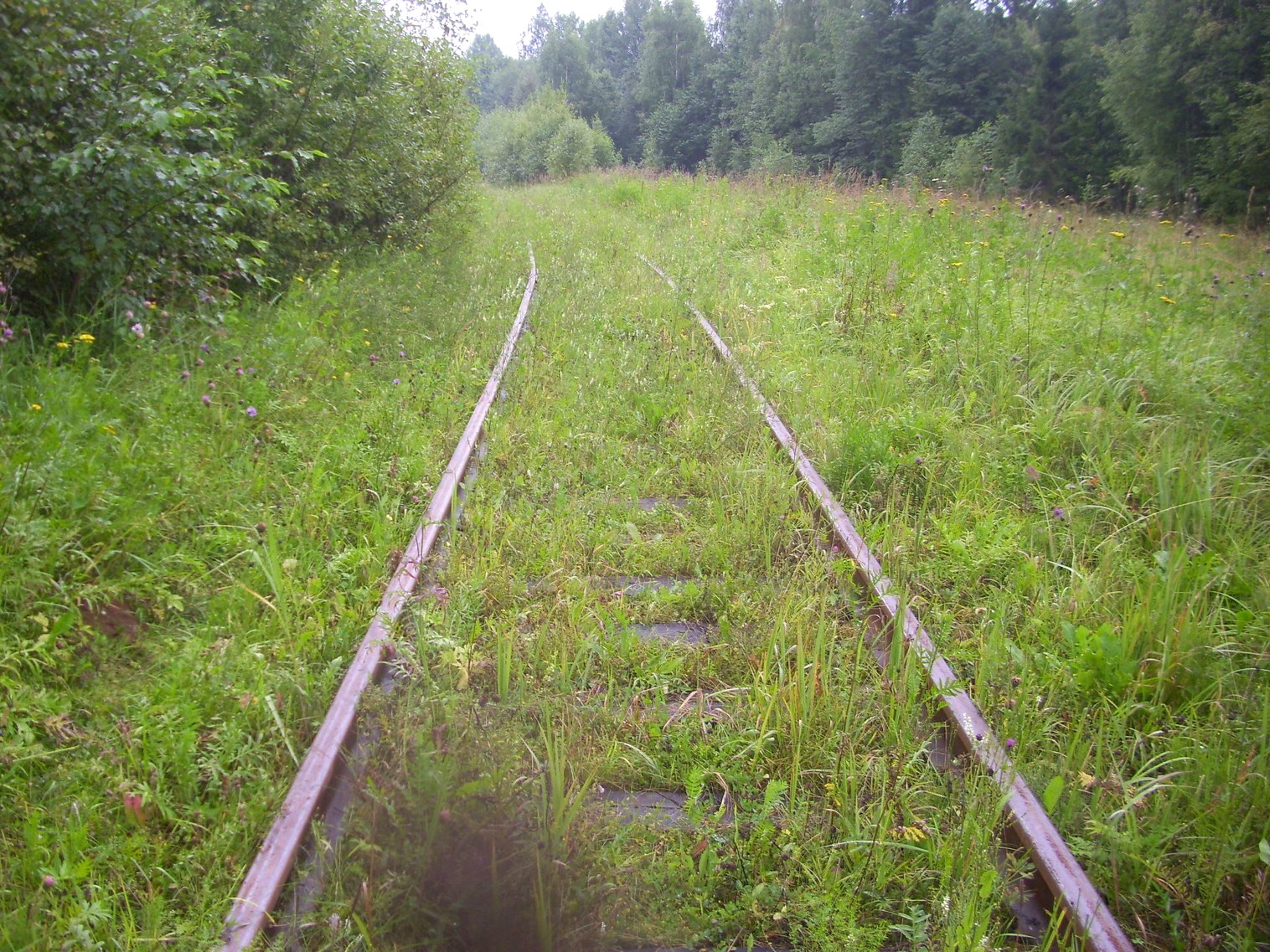 Шортюгская железная дорога
— фотографии, сделанные в 2012 году (часть 14) Шортюгская железная дорога
— фотографии, сделанные в 2012 году (часть 14)