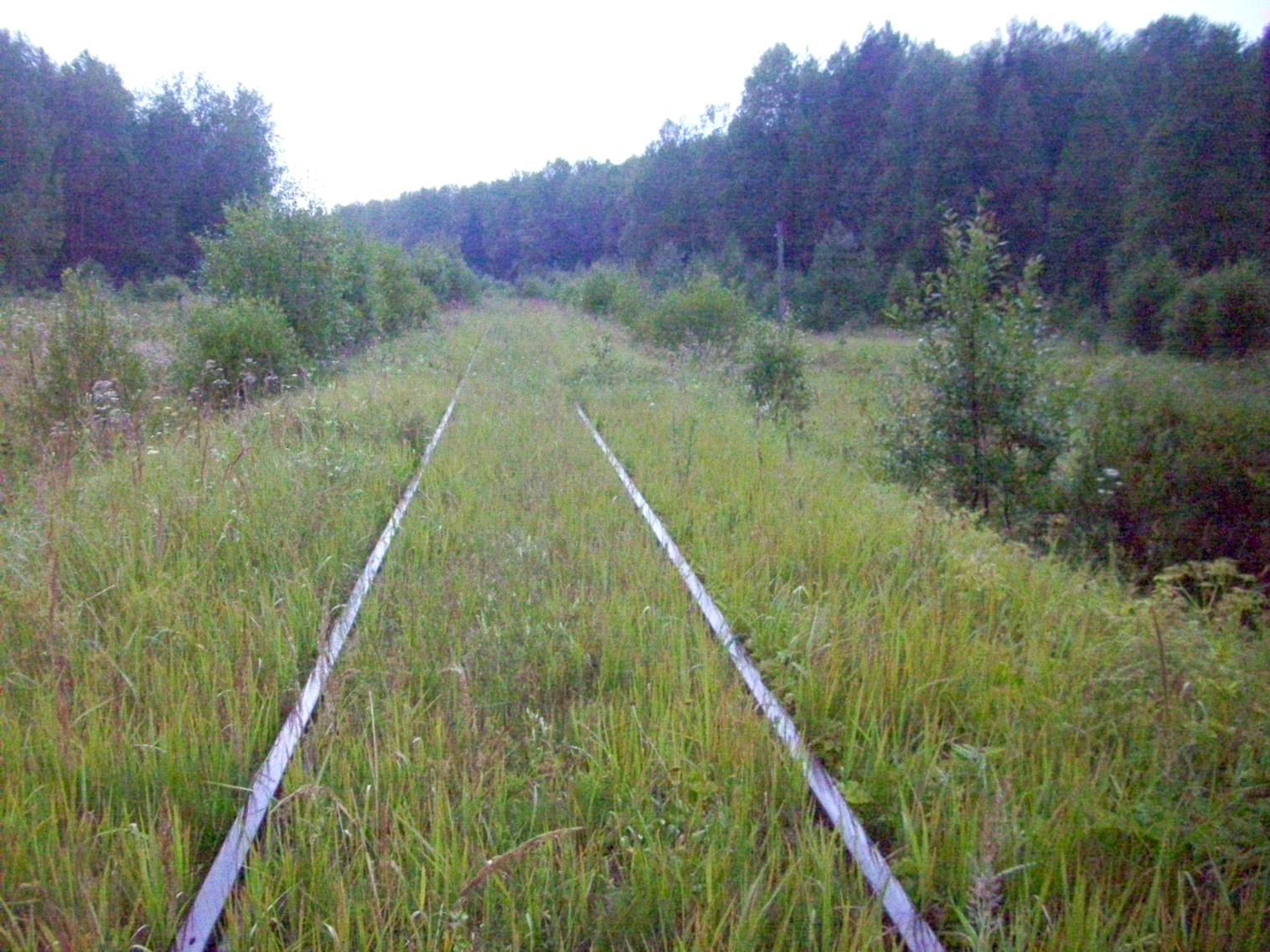 Шортюгская железная дорога
— фотографии, сделанные в 2012 году (часть 19) Шортюгская железная дорога
— фотографии, сделанные в 2012 году (часть 19)