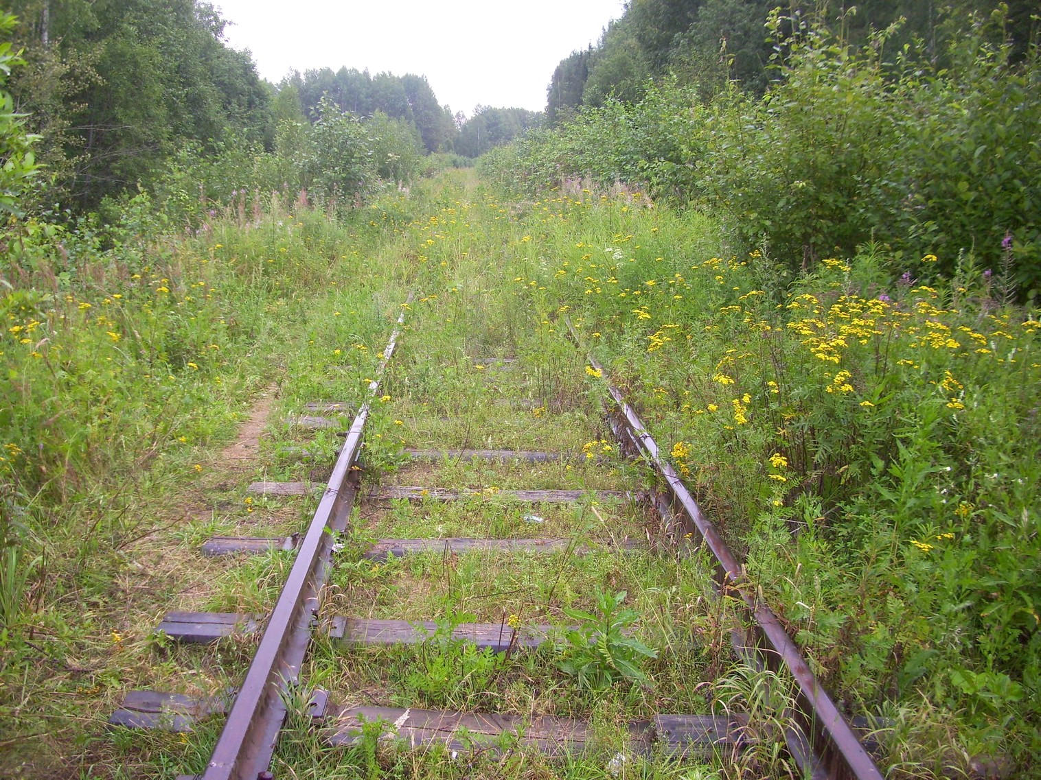 Шортюгская железная дорога
— фотографии, сделанные в 2012 году (часть 3) Шортюгская железная дорога
— фотографии, сделанные в 2012 году (часть 3)