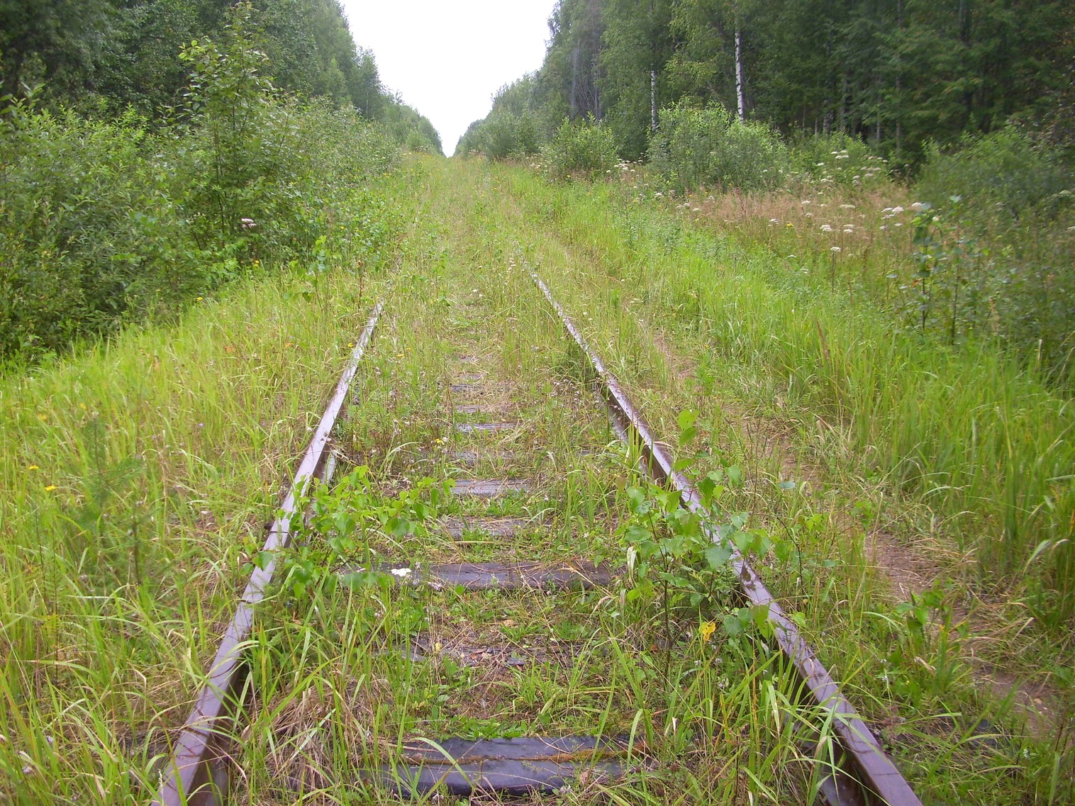 Шортюгская железная дорога
— фотографии, сделанные в 2012 году (часть 5) Шортюгская железная дорога
— фотографии, сделанные в 2012 году (часть 5)