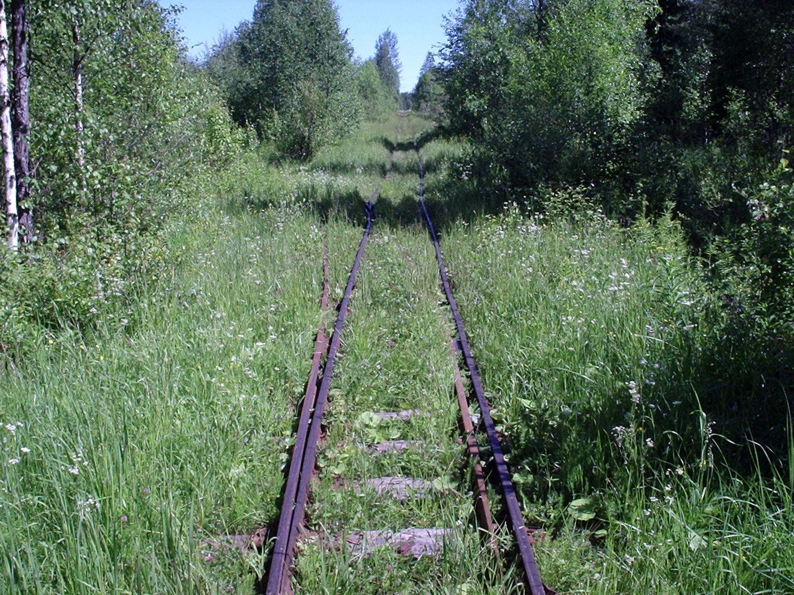 Киземская узкоколейная железная дорога — фотографии, сделанные в 2005 году (часть 2) Киземская узкоколейная железная дорога — фотографии, сделанные в 2005 году (часть 2)