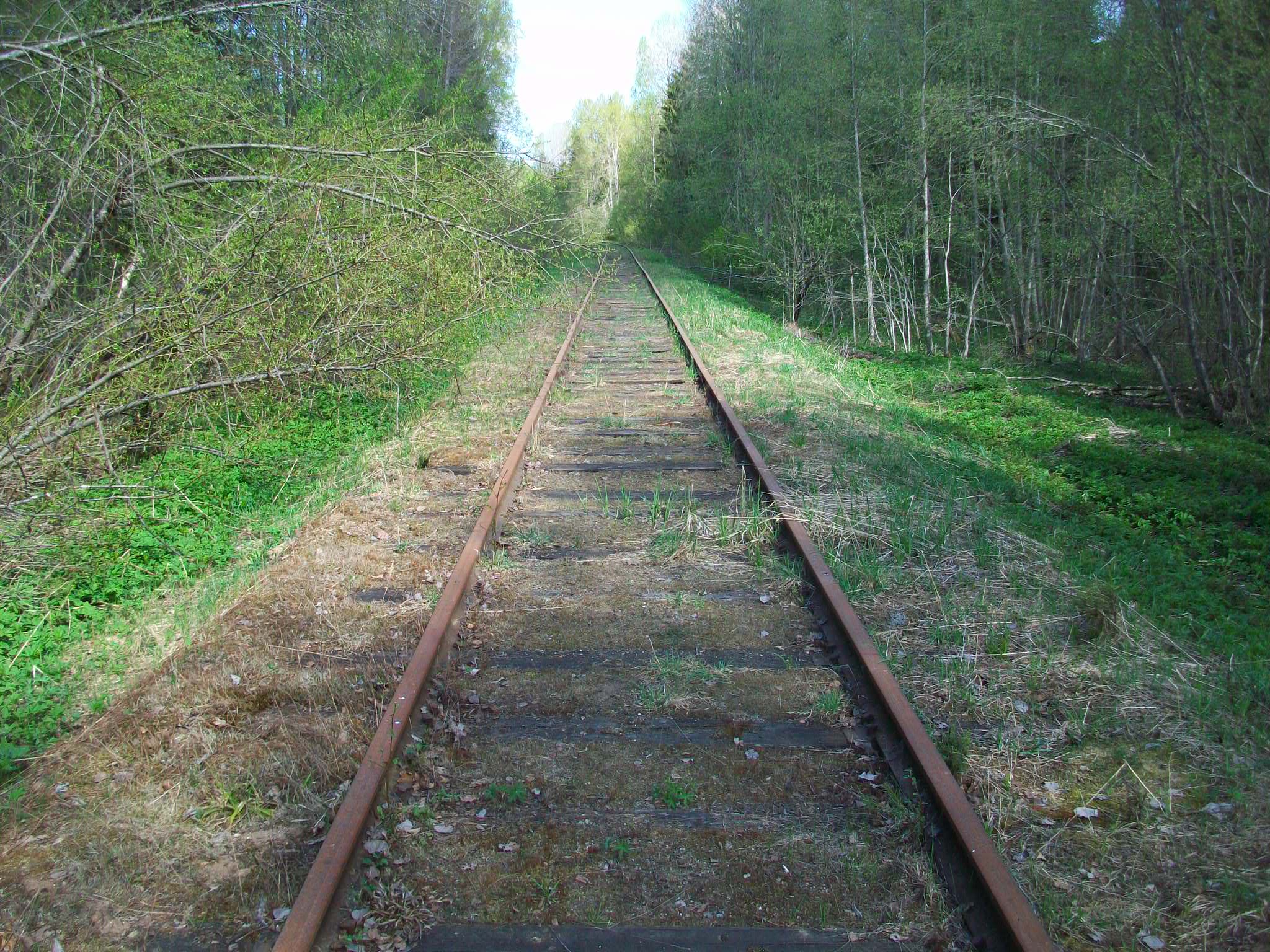 Железнодорожная линия Валдай — Крестцы
— фотографии, сделанные в 2015 году (часть 21) Железнодорожная линия Валдай — Крестцы
— фотографии, сделанные в 2015 году (часть 21)