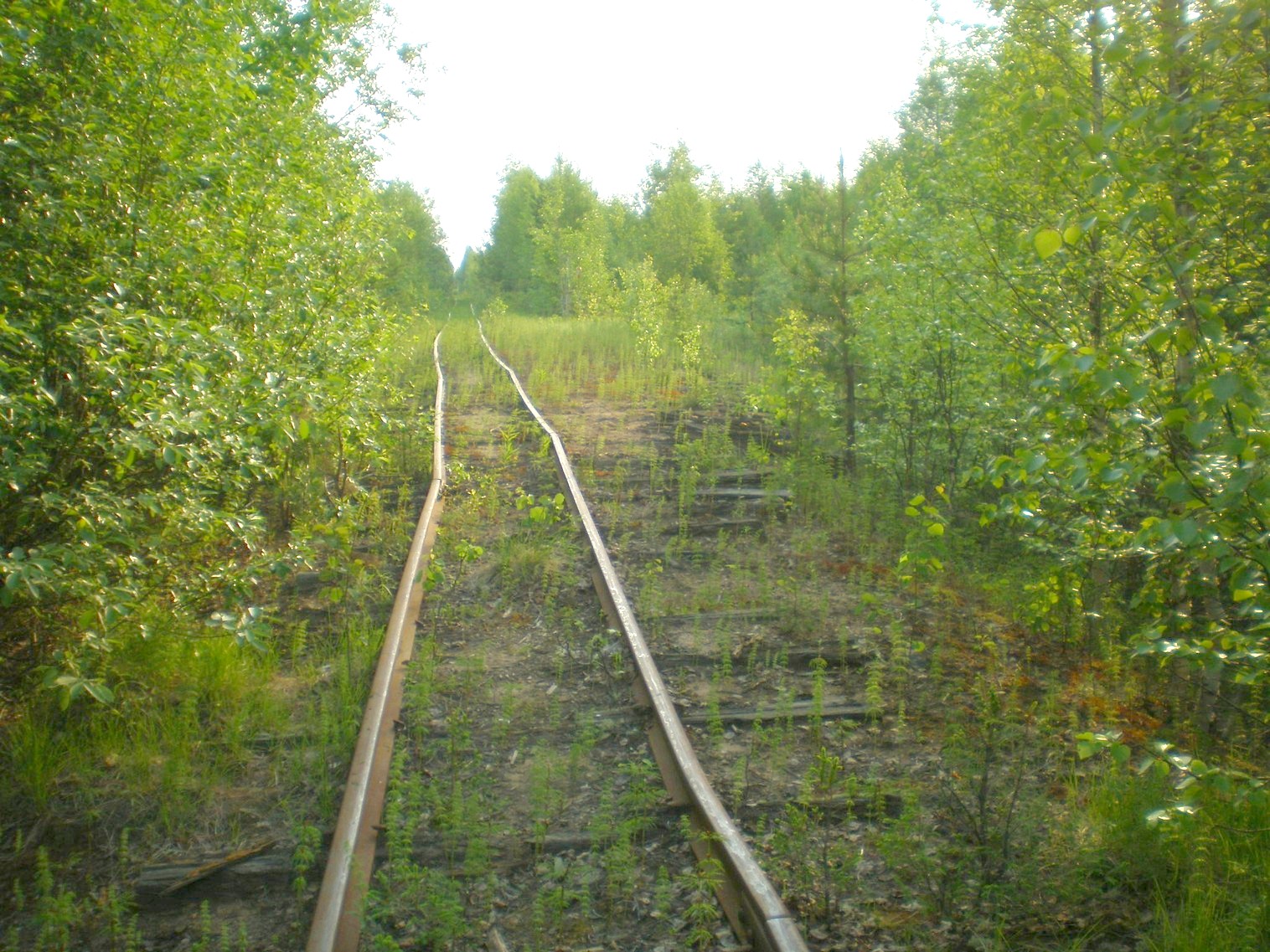 Пезмогская узкоколейная железная дорога — фотографии, сделанные в 2008 году (часть 9) Пезмогская узкоколейная железная дорога — фотографии, сделанные в 2008 году (часть 9)