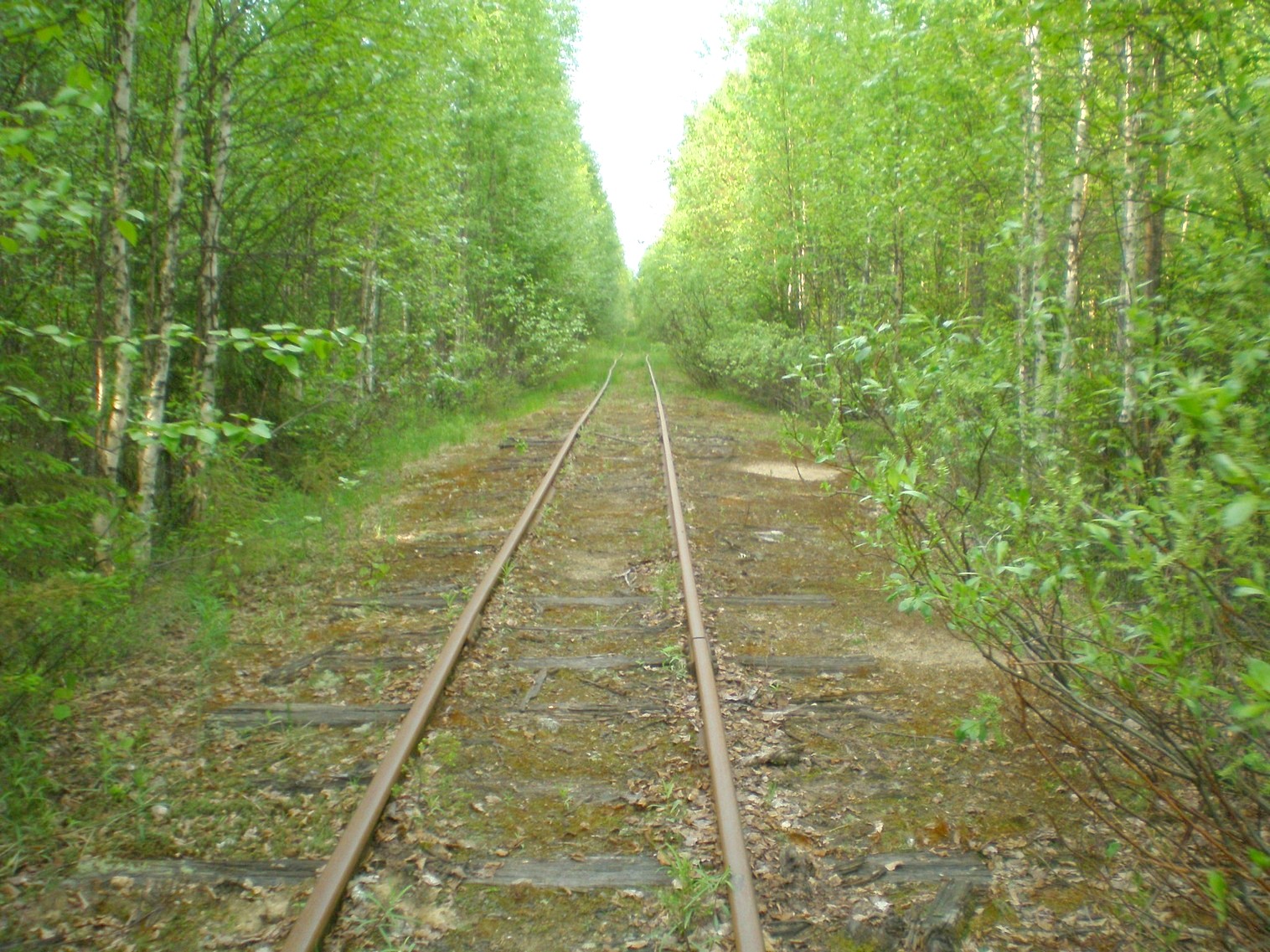 Пезмогская узкоколейная железная дорога — фотографии, сделанные в 2008 году (часть 11) Пезмогская узкоколейная железная дорога — фотографии, сделанные в 2008 году (часть 11)