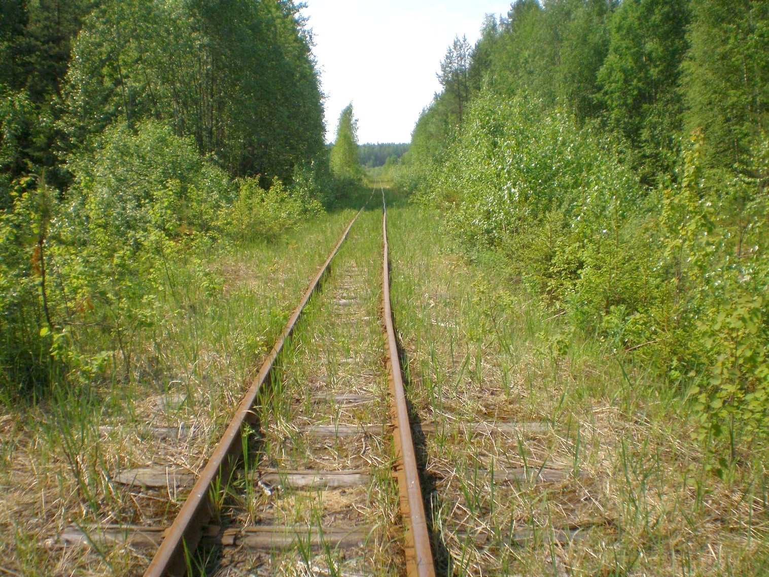 Пезмогская узкоколейная железная дорога — фотографии, сделанные в 2008 году (часть 17) Пезмогская узкоколейная железная дорога — фотографии, сделанные в 2008 году (часть 17)