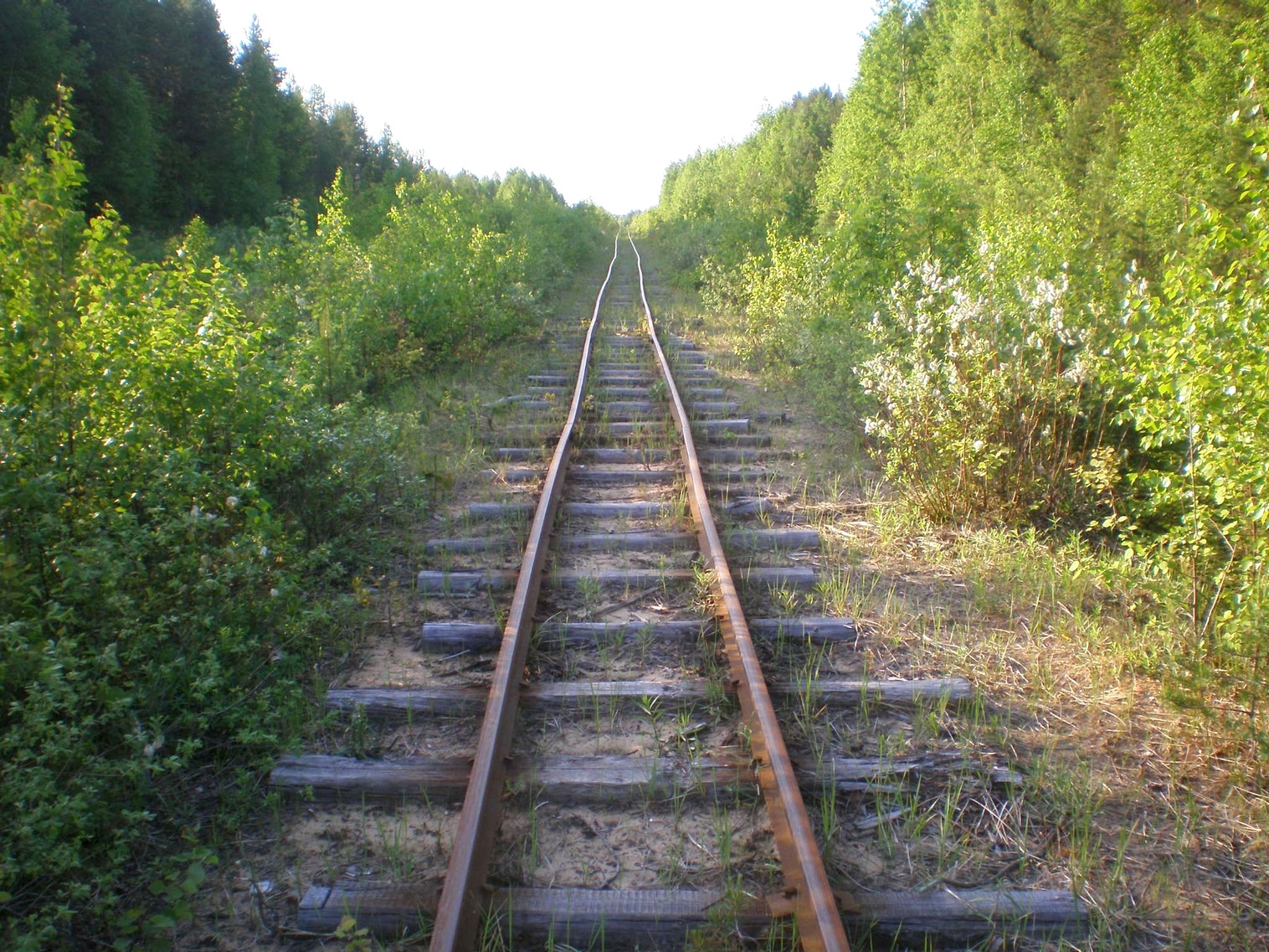 Пезмогская узкоколейная железная дорога — фотографии, сделанные в 2008 году (часть 5) Пезмогская узкоколейная железная дорога — фотографии, сделанные в 2008 году (часть 5)