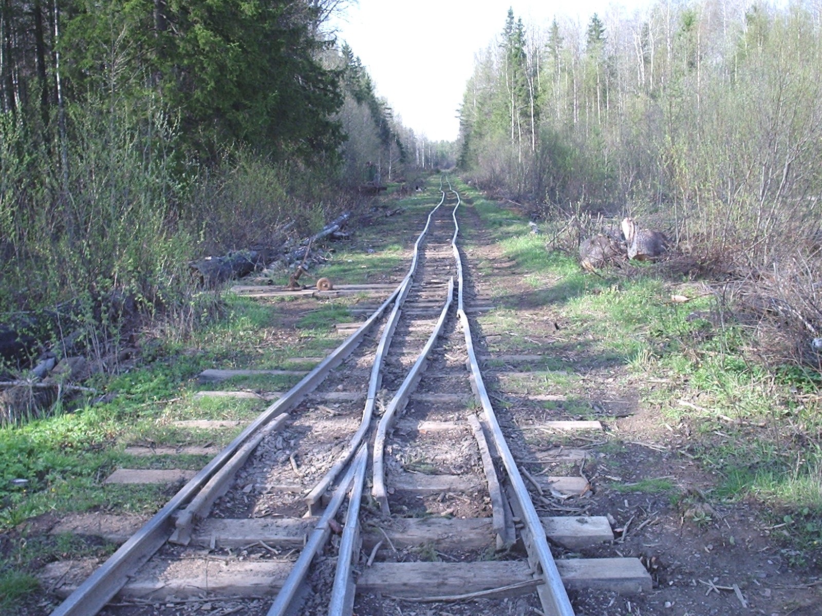 Кургальская узкоколейная железная дорога — фотографии, сделанные в 2005 году (часть 6) Кургальская узкоколейная железная дорога — фотографии, сделанные в 2005 году (часть 6)