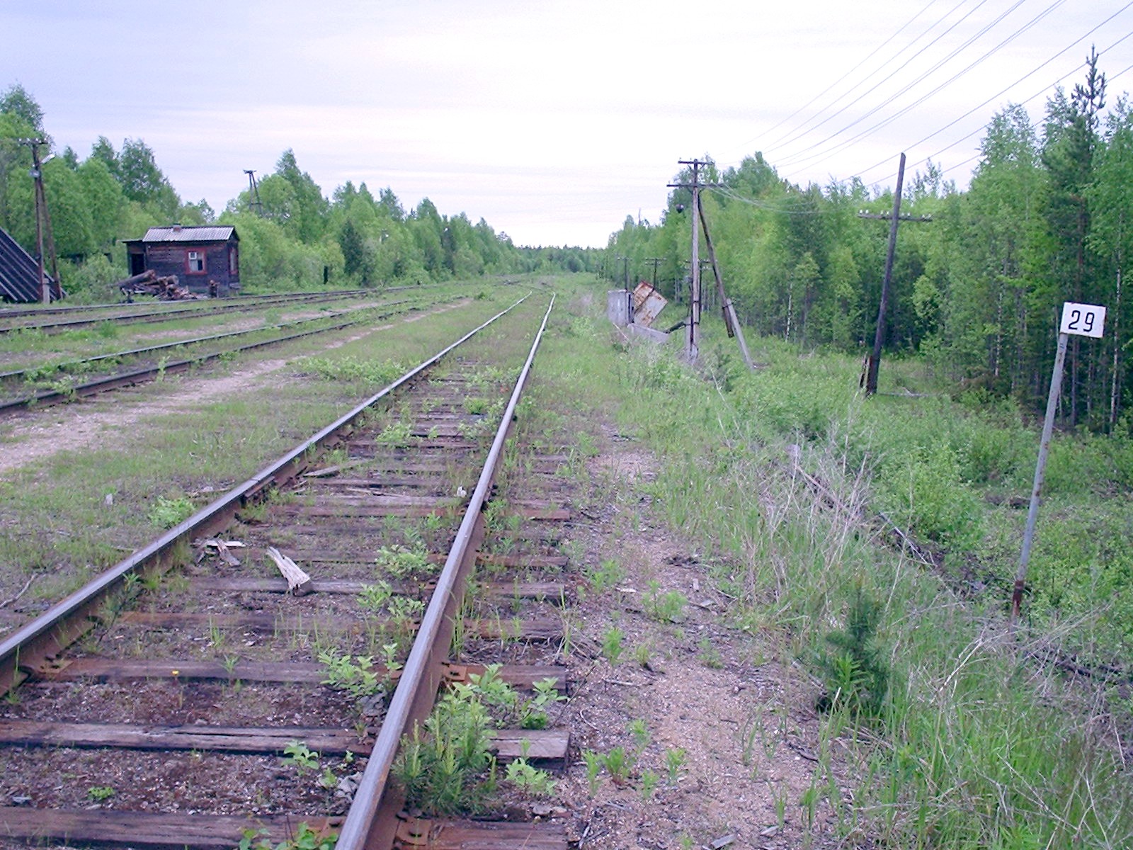 Заонежская железная дорога — фотографии, сделанные в 2005 году (часть 4) Заонежская железная дорога — фотографии, сделанные в 2005 году (часть 4)