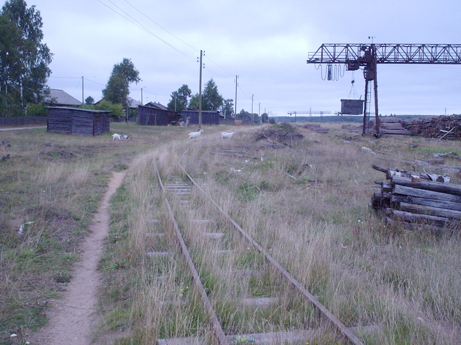 Пятовская узкоколейная железная дорога
— фотографии, сделанные в 2005 году (часть 1) Пятовская узкоколейная железная дорога
— фотографии, сделанные в 2005 году (часть 1)