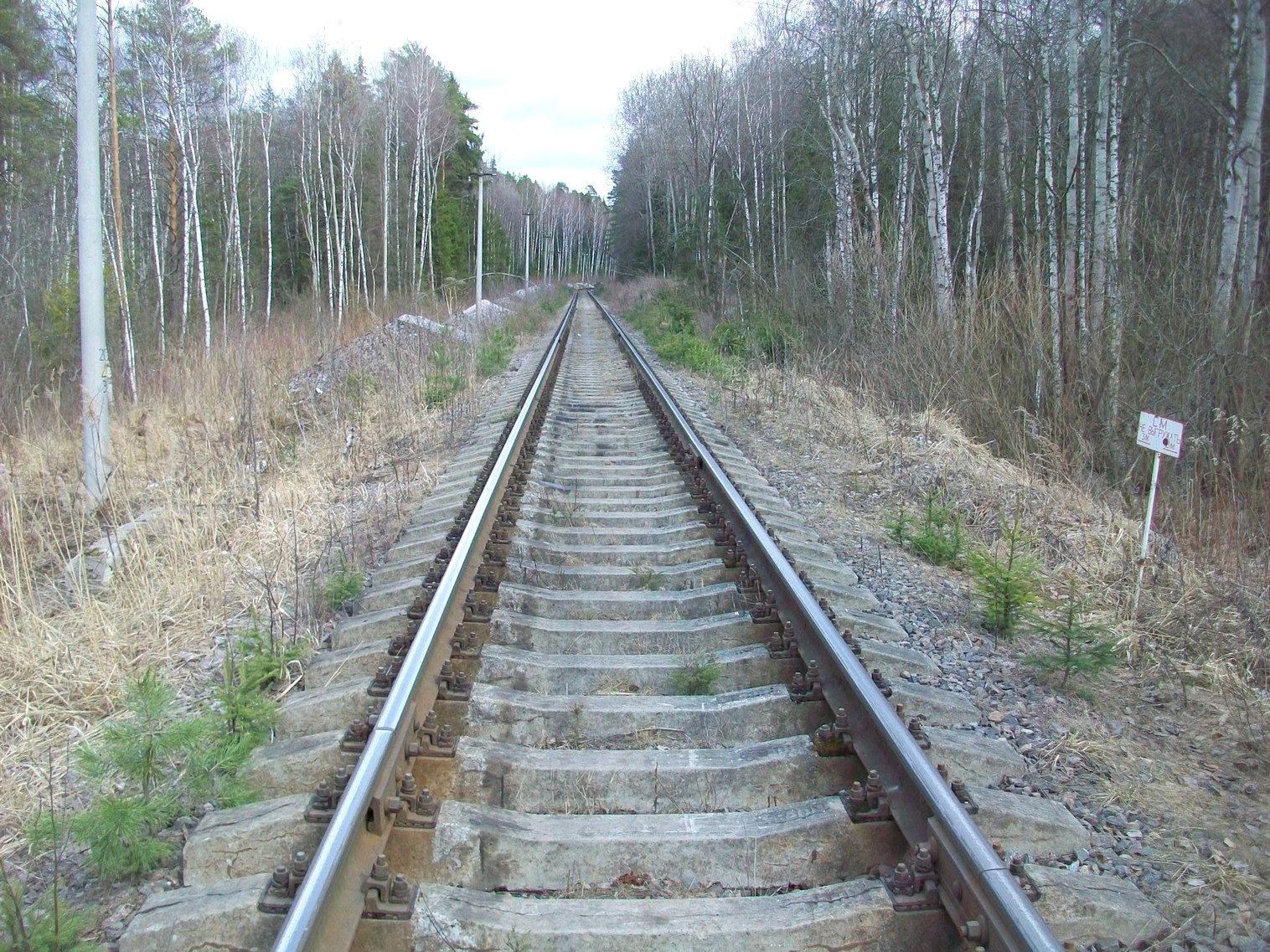 Железнодорожная линия Крюково — Крюково-Грузовое
— фотографии, сделанные в 2015 году (часть 3) Железнодорожная линия Крюково — Крюково-Грузовое
— фотографии, сделанные в 2015 году (часть 3)