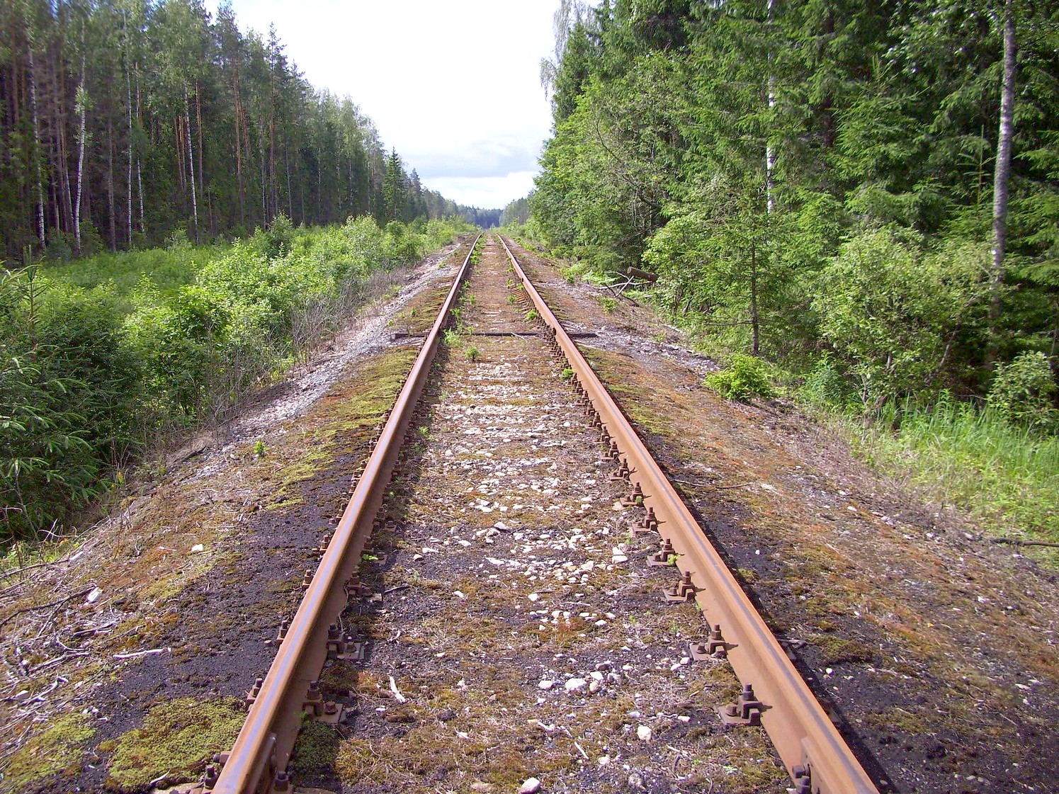 Железнодорожная линия Кривандино — Рязановка — фотографии, сделанные в 2010 году (часть 11) Железнодорожная линия Кривандино — Рязановка — фотографии, сделанные в 2010 году (часть 11)