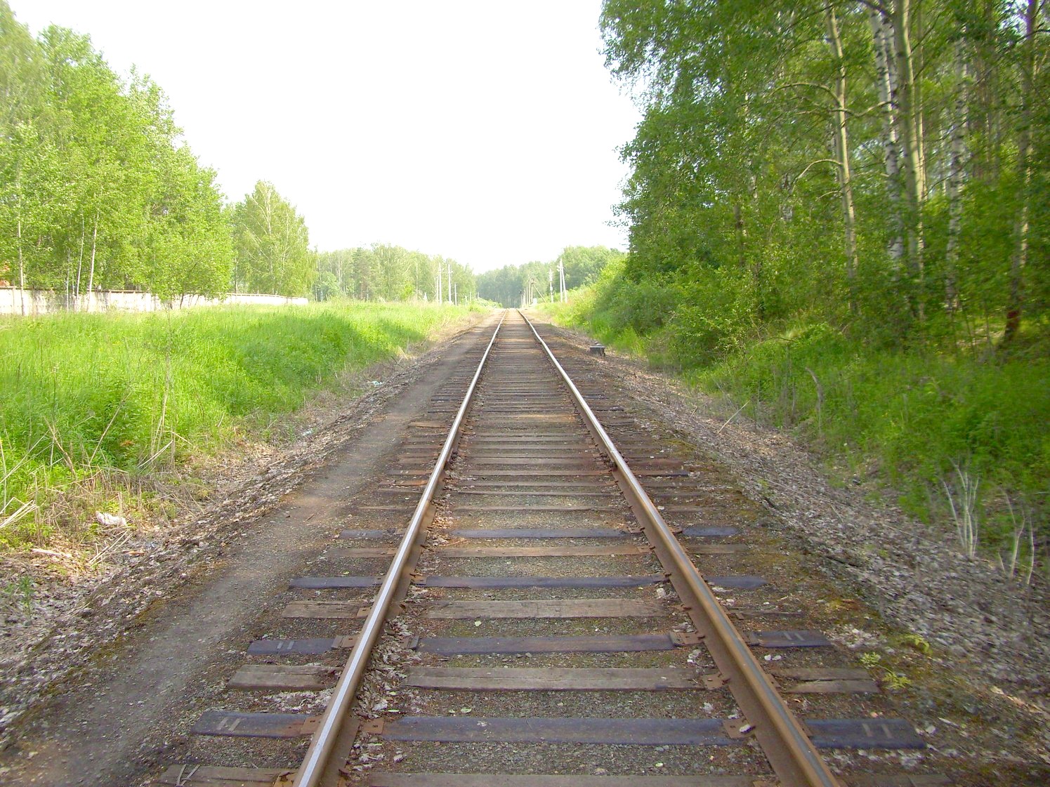 Железнодорожная линия Кривандино — Рязановка — фотографии, сделанные в 2010 году (часть 2) Железнодорожная линия Кривандино — Рязановка — фотографии, сделанные в 2010 году (часть 2)