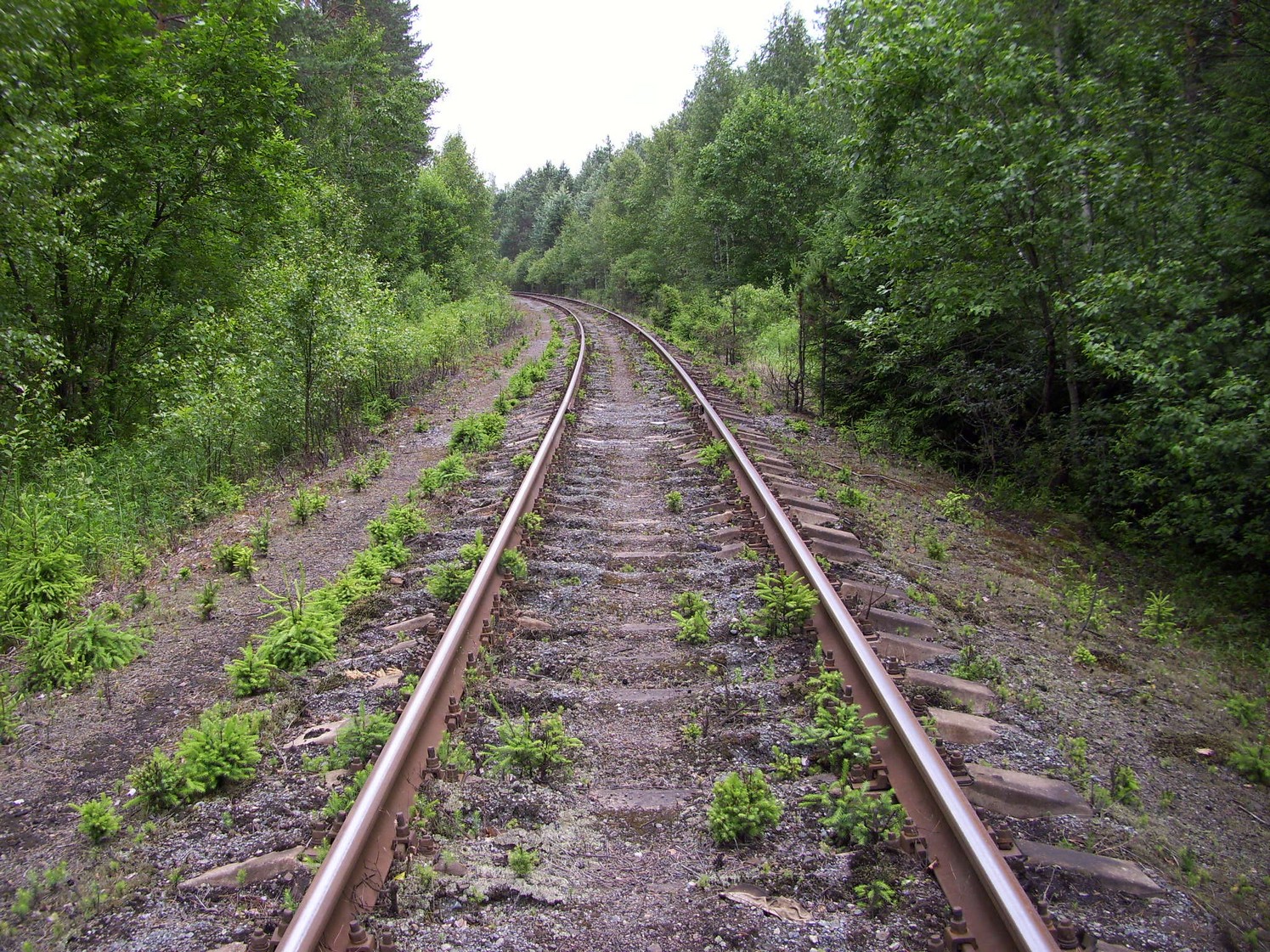 Железнодорожная линия Кривандино — Рязановка — фотографии, сделанные в 2010 году (часть 13) Железнодорожная линия Кривандино — Рязановка — фотографии, сделанные в 2010 году (часть 13)