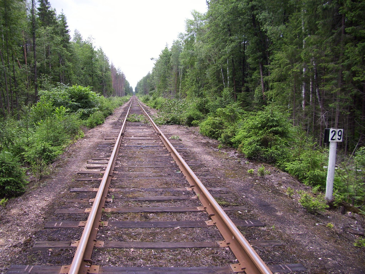 Железнодорожная линия Кривандино — Рязановка — фотографии, сделанные в 2010 году (часть 14) Железнодорожная линия Кривандино — Рязановка — фотографии, сделанные в 2010 году (часть 14)