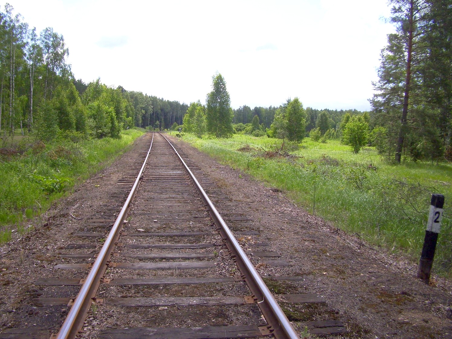 Железнодорожная линия Кривандино — Рязановка — фотографии, сделанные в 2010 году (часть 15) Железнодорожная линия Кривандино — Рязановка — фотографии, сделанные в 2010 году (часть 15)