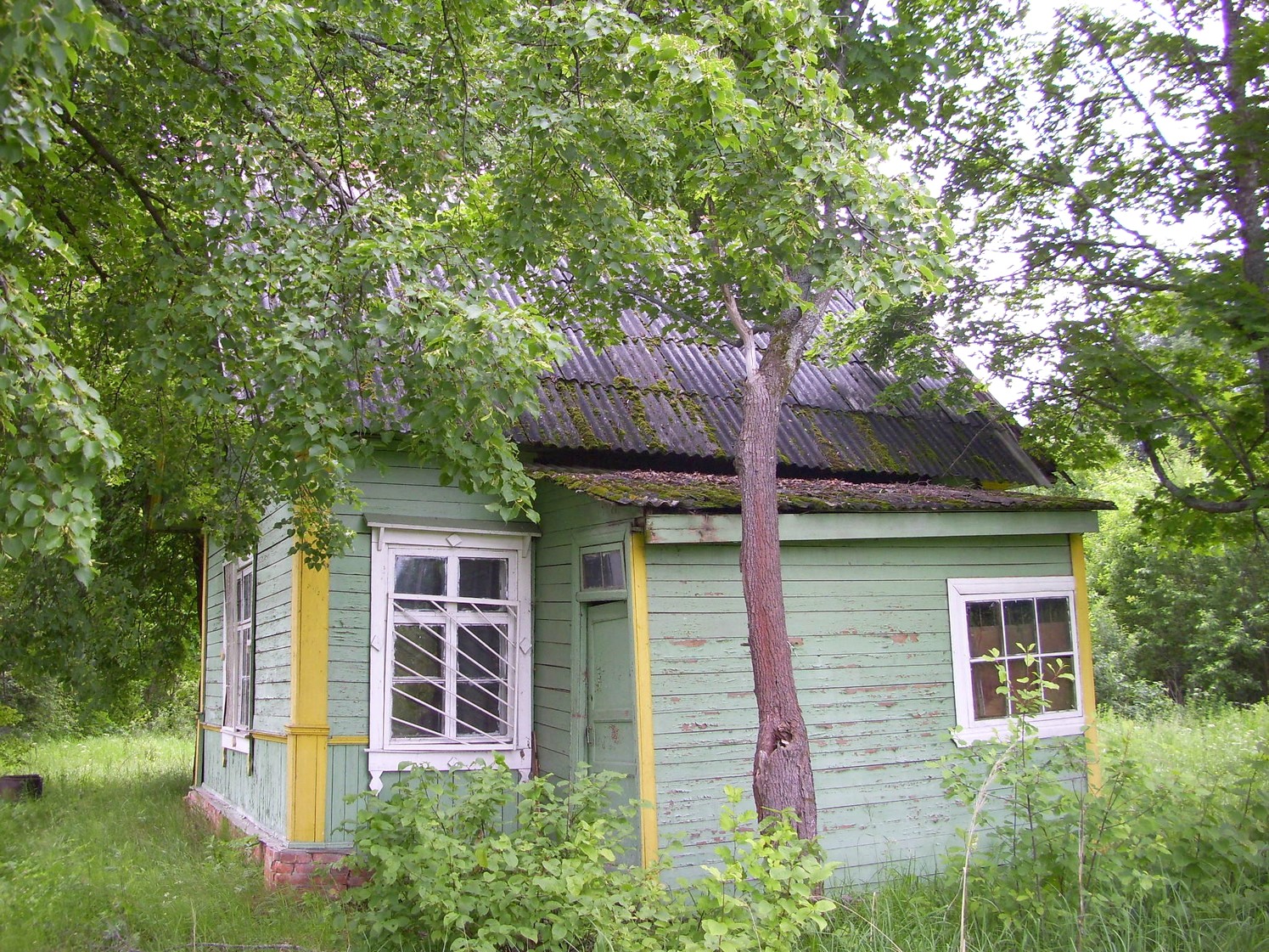 Железнодорожная линия Кривандино — Рязановка — фотографии, сделанные в 2010 году (часть 23) Железнодорожная линия Кривандино — Рязановка — фотографии, сделанные в 2010 году (часть 23)