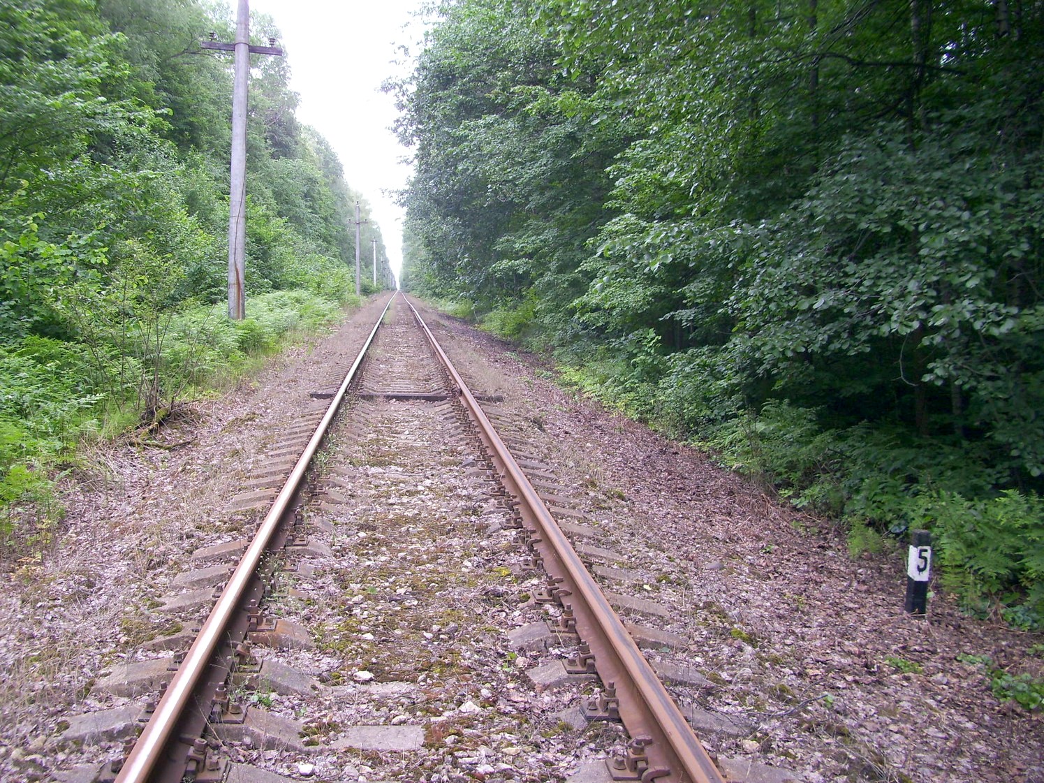 Железнодорожная линия Кривандино — Рязановка — фотографии, сделанные в 2010 году (часть 25) Железнодорожная линия Кривандино — Рязановка — фотографии, сделанные в 2010 году (часть 25)