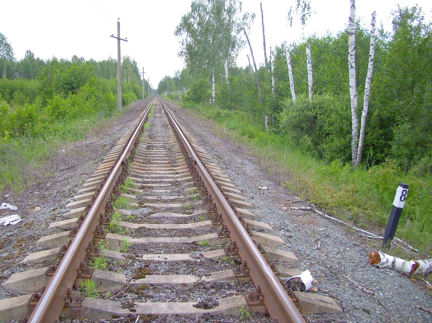 Железнодорожная линия Кривандино — Рязановка — фотографии, сделанные в 2010 году (часть 27) Железнодорожная линия Кривандино — Рязановка — фотографии, сделанные в 2010 году (часть 27)