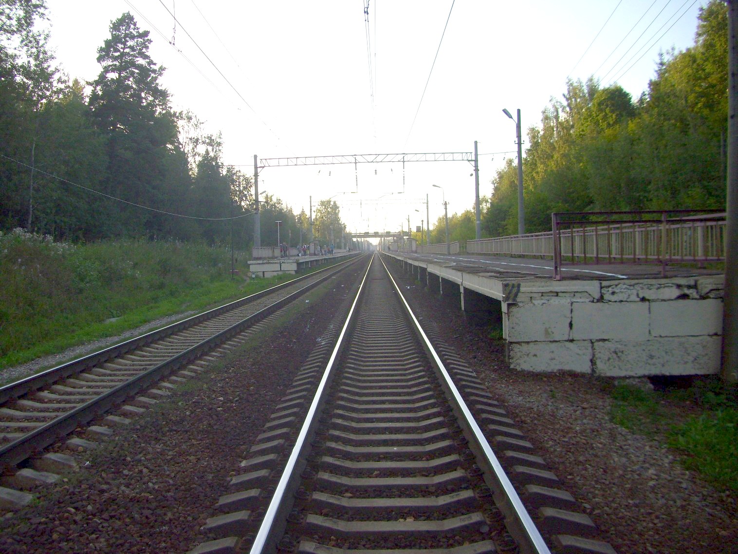 Петербурго-Московская железнодорожная линия на территории Московской области — о.п. Радищево Петербурго-Московская железнодорожная линия на территории Московской области — о.п. Радищево