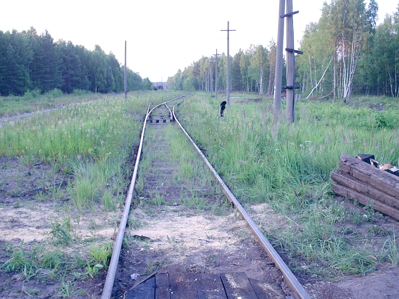 Железнодорожная линия Сазоново — Пилево — фотографии, сделанные в 2006 году (часть 1) Железнодорожная линия Сазоново — Пилево — фотографии, сделанные в 2006 году (часть 1)