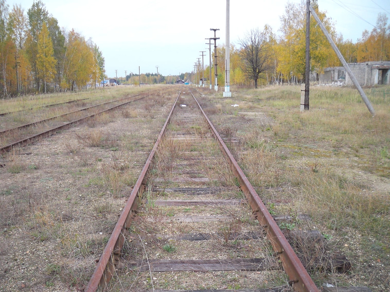 Железнодорожная линия Сазоново — Пилево — фотографии, сделанные в 2012 году (часть 6) Железнодорожная линия Сазоново — Пилево — фотографии, сделанные в 2012 году (часть 6)