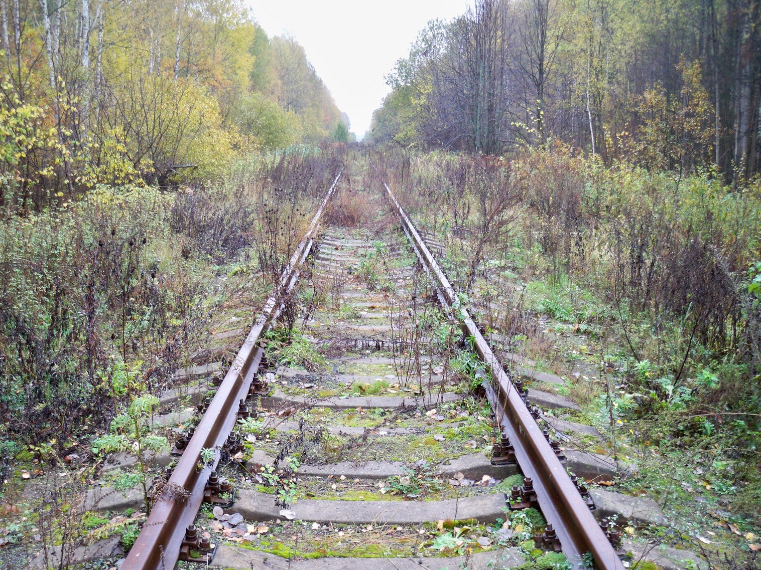 Железнодорожная линия Сазоново — Пилево — фотографии, сделанные в 2012 году (часть 2) Железнодорожная линия Сазоново — Пилево — фотографии, сделанные в 2012 году (часть 2)