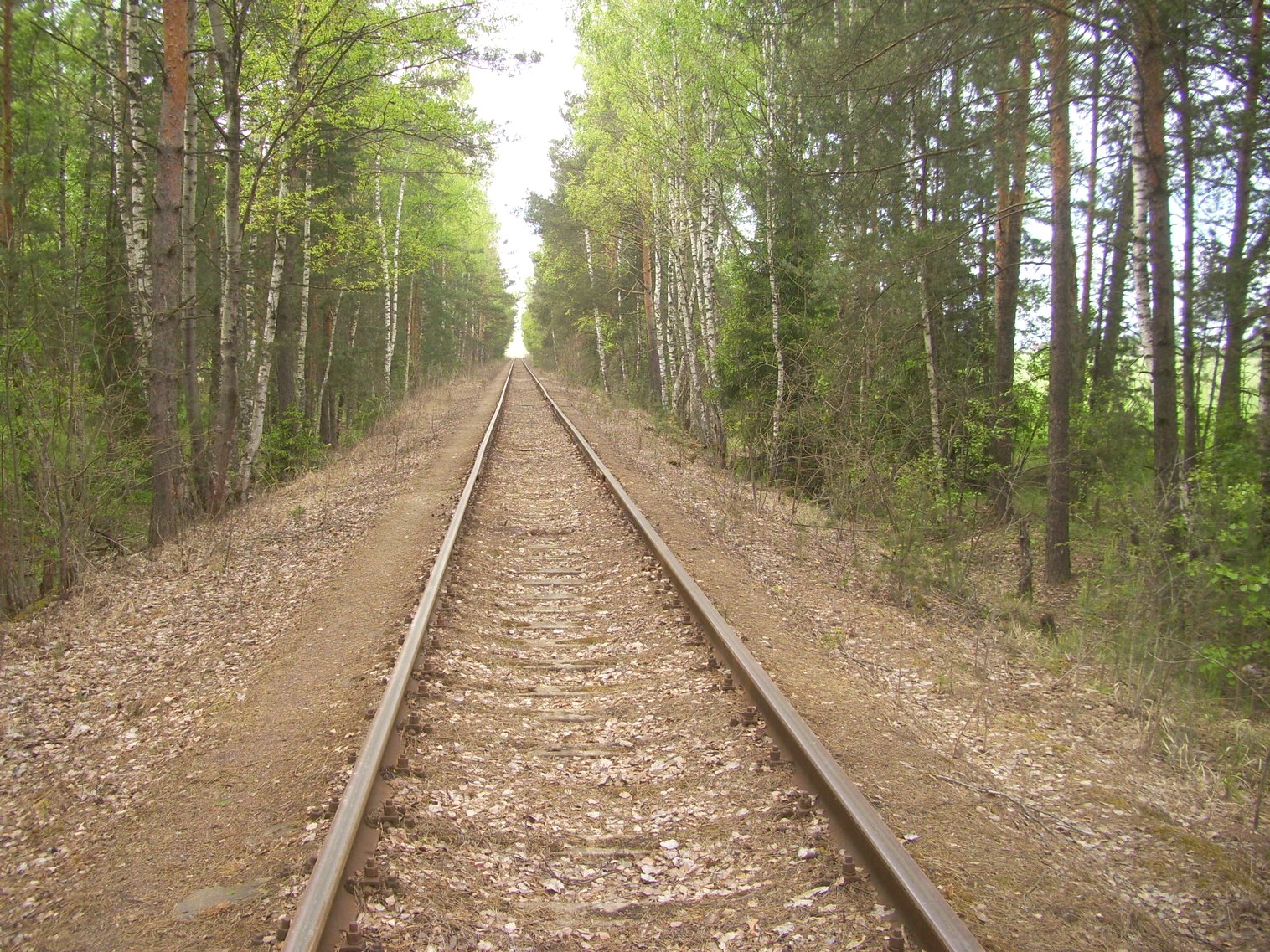 Железнодорожная линия Ногинского ППЖТ (Ногинск — Черноголовка) — фотографии, сделанные в 2010 году (часть 8) Железнодорожная линия Ногинского ППЖТ (Ногинск — Черноголовка) — фотографии, сделанные в 2010 году (часть 8)