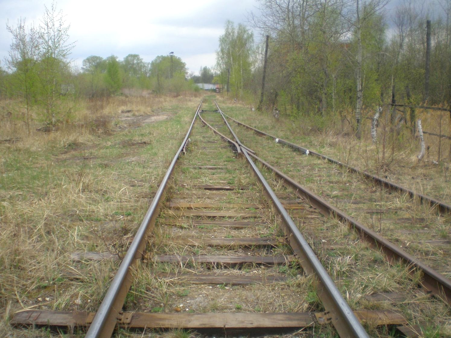 Железнодорожная линия Черусти — Рошаль — фотографии, сделанные в 2009 году (часть 1) Железнодорожная линия Черусти — Рошаль — фотографии, сделанные в 2009 году (часть 1)