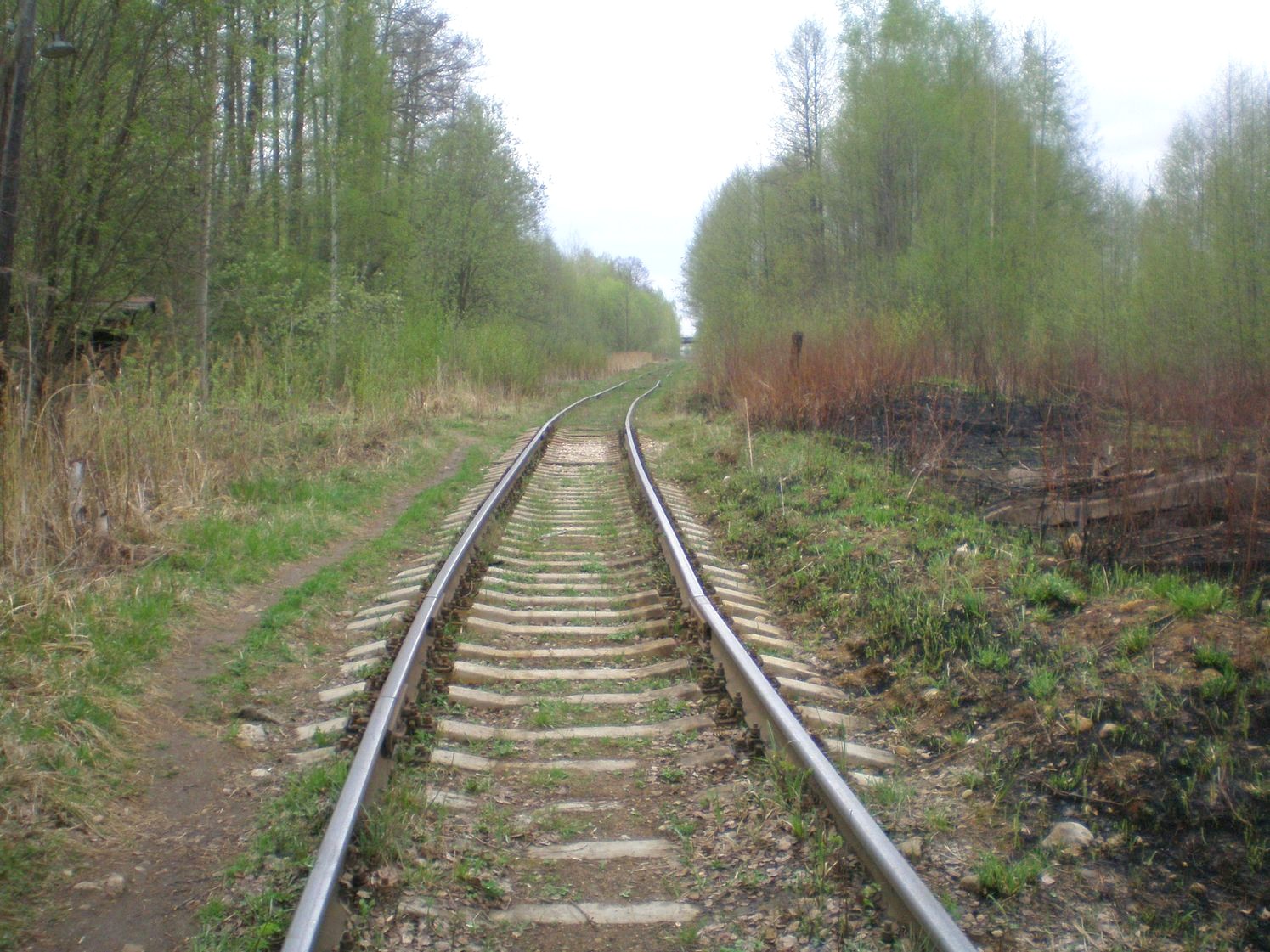 Железнодорожная линия Черусти — Рошаль — фотографии, сделанные в 2009 году (часть 2) Железнодорожная линия Черусти — Рошаль — фотографии, сделанные в 2009 году (часть 2)