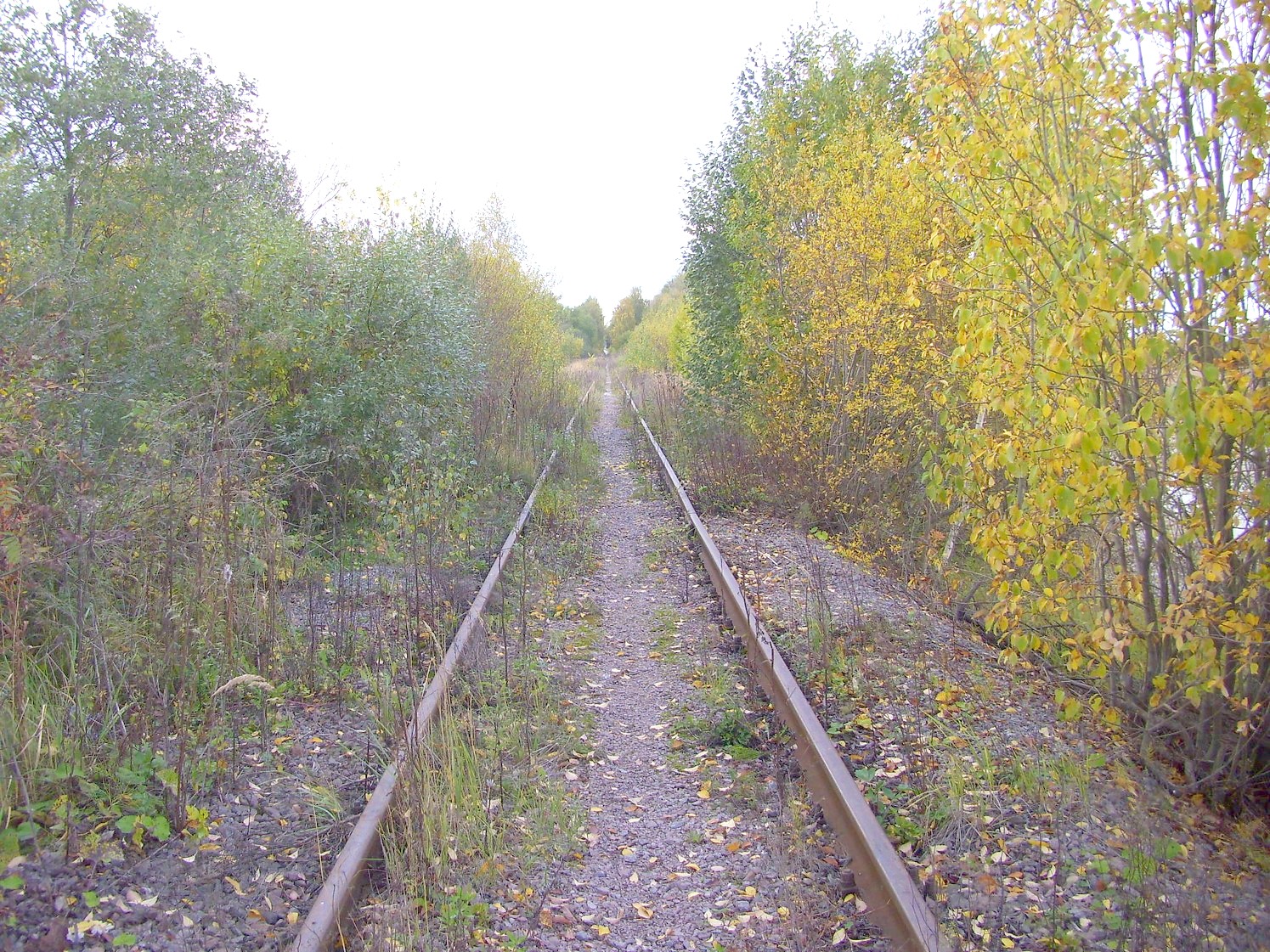 Железнодорожная линия Клин — Высоковск
— фотографии, сделанные в 2009 году (часть 5) Железнодорожная линия Клин — Высоковск
— фотографии, сделанные в 2009 году (часть 5)