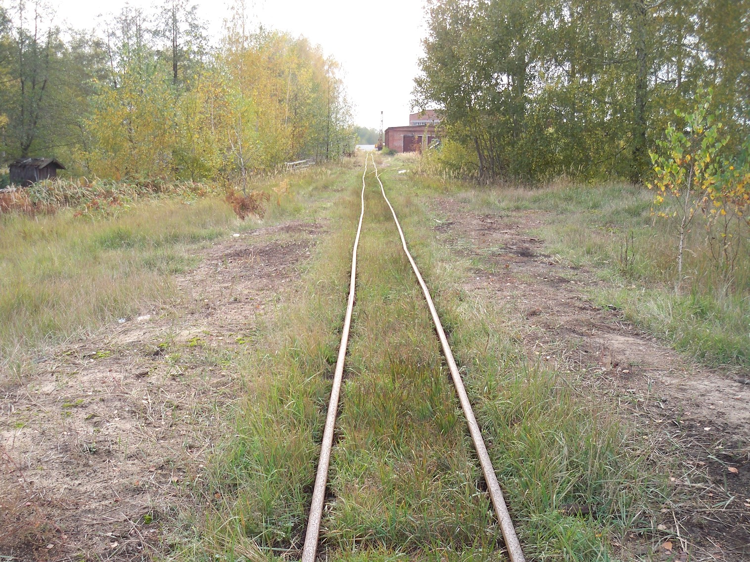 Узкоколейная железная дорога Мещерского торфопредприятия — фотографии, сделанные в 2012 году Узкоколейная железная дорога Мещерского торфопредприятия — фотографии, сделанные в 2012 году