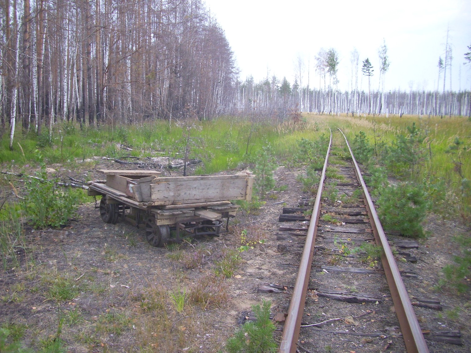 Рязанско-Владимирская узкоколейная железная дорога — фотографии, сделанные в 2011 году (часть 17) Рязанско-Владимирская узкоколейная железная дорога — фотографии, сделанные в 2011 году (часть 17)