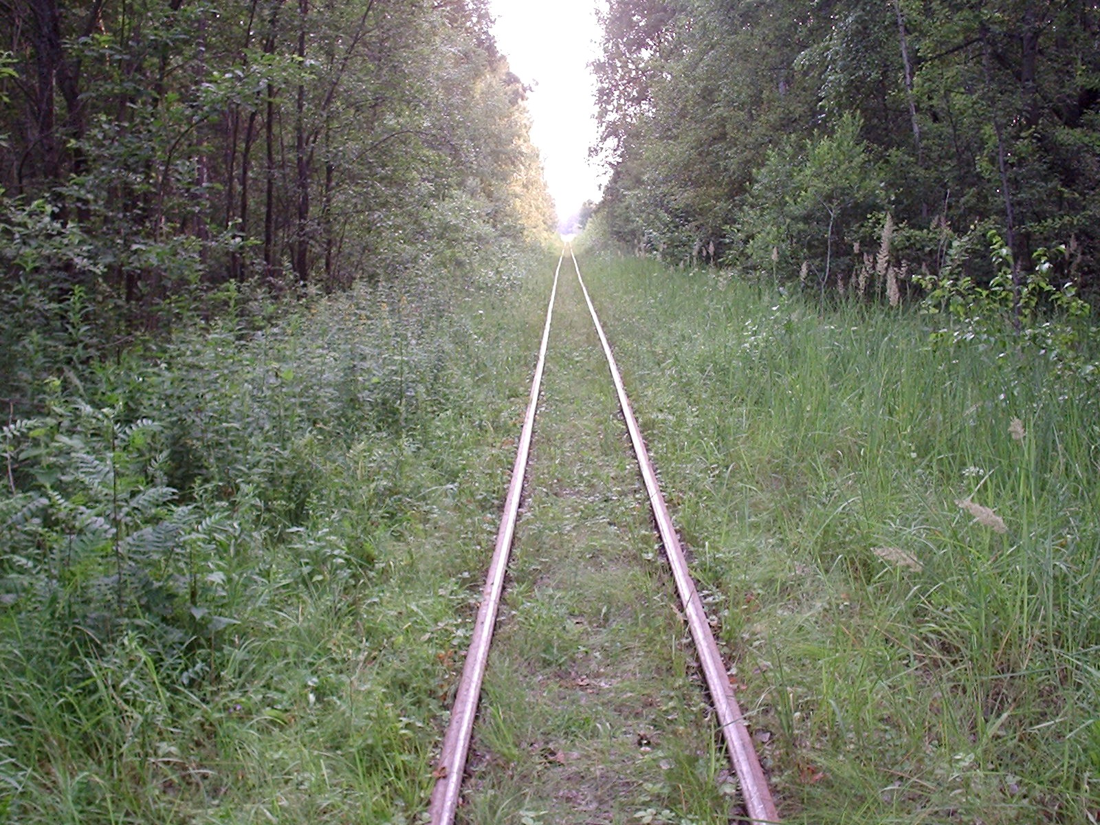 Рязанско-Владимирская узкоколейная железная дорога - фотографии, сделанные в 2006 году (часть 9) Рязанско-Владимирская узкоколейная железная дорога - фотографии, сделанные в 2006 году (часть 9)