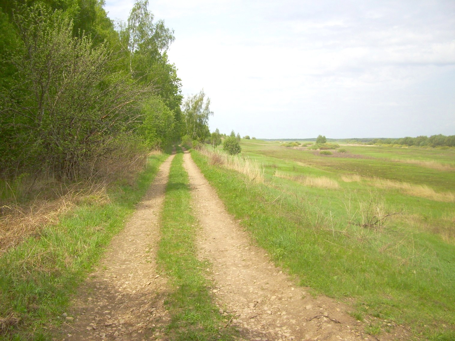 Железнодорожная линия Перевлес — Ясаково — фотографии, сделанные в 2010 году (часть 8) Железнодорожная линия Перевлес — Ясаково — фотографии, сделанные в 2010 году (часть 8)