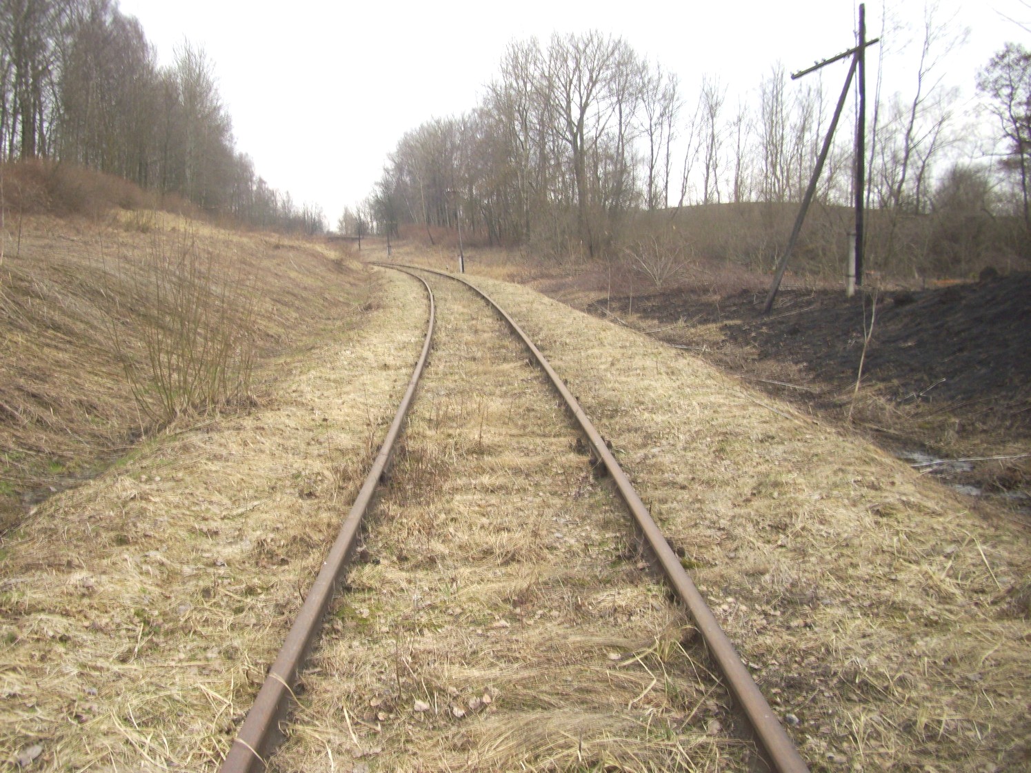 Железнодорожная линия Нестеров — Краснолесье
— фотографии, сделанные в 2011 году (часть 5) Железнодорожная линия Нестеров — Краснолесье
— фотографии, сделанные в 2011 году (часть 5)