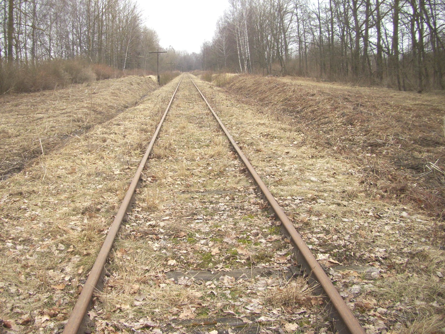 Железнодорожная линия Нестеров — Краснолесье
— фотографии, сделанные в 2011 году (часть 6) Железнодорожная линия Нестеров — Краснолесье
— фотографии, сделанные в 2011 году (часть 6)