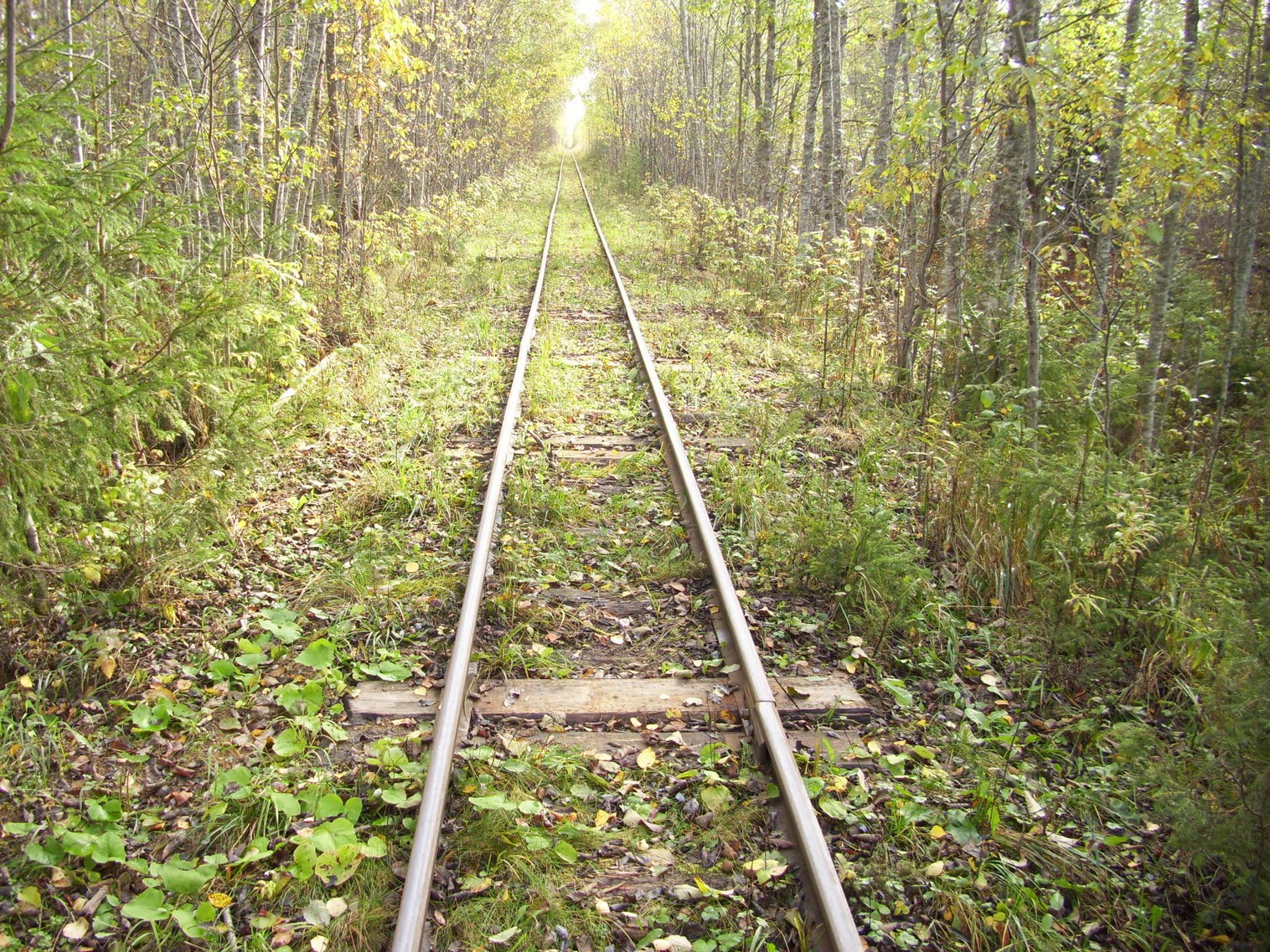 Семигородняя узкоколейная железная дорога
— фотографии, сделанные в 2010 году (часть 6) Семигородняя узкоколейная железная дорога
— фотографии, сделанные в 2010 году (часть 6)