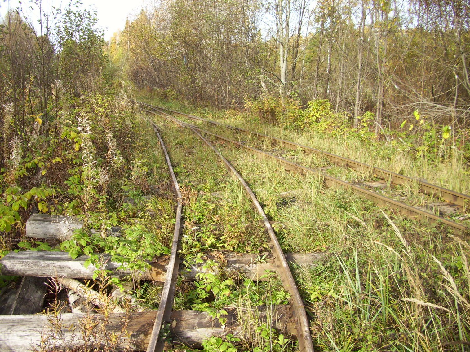 Семигородняя узкоколейная железная дорога
— фотографии, сделанные в 2010 году (часть 7) Семигородняя узкоколейная железная дорога
— фотографии, сделанные в 2010 году (часть 7)