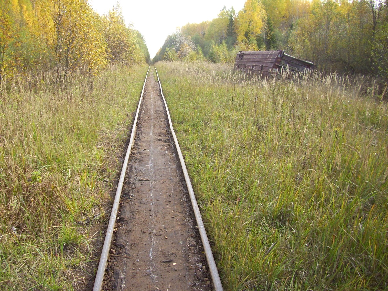 Семигородняя узкоколейная железная дорога
— фотографии, сделанные в 2010 году (часть 9) Семигородняя узкоколейная железная дорога
— фотографии, сделанные в 2010 году (часть 9)