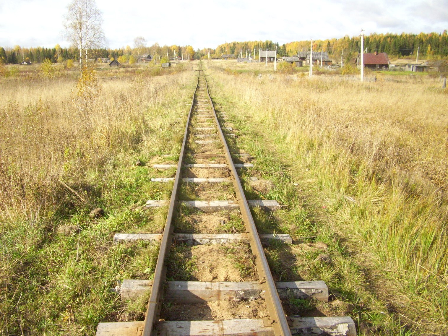 Семигородняя узкоколейная железная дорога
— фотографии, сделанные в 2010 году (часть 10) Семигородняя узкоколейная железная дорога
— фотографии, сделанные в 2010 году (часть 10)