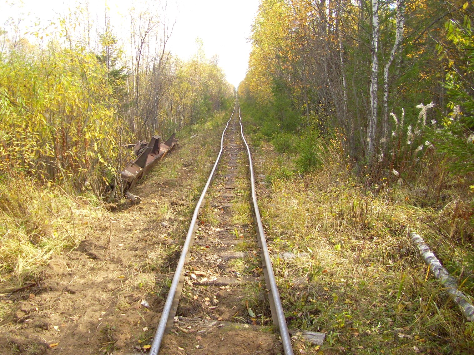 Семигородняя узкоколейная железная дорога
— фотографии, сделанные в 2010 году (часть 12) Семигородняя узкоколейная железная дорога
— фотографии, сделанные в 2010 году (часть 12)