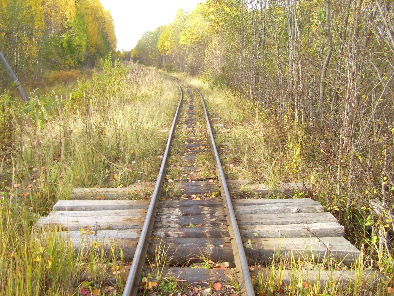 Семигородняя узкоколейная железная дорога
— фотографии, сделанные в 2010 году (часть 13) Семигородняя узкоколейная железная дорога
— фотографии, сделанные в 2010 году (часть 13)